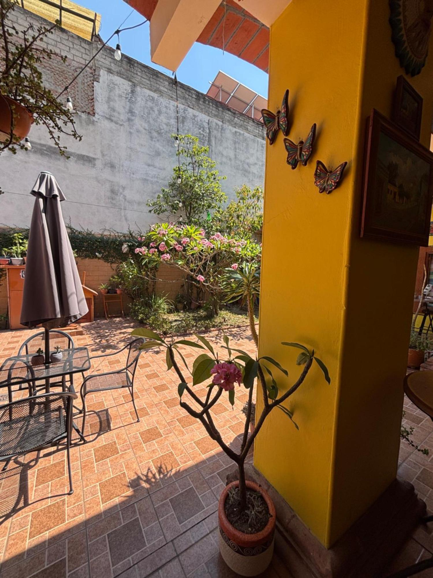 Hotel Posada "Mi Rosita" Oaxaca Exterior foto